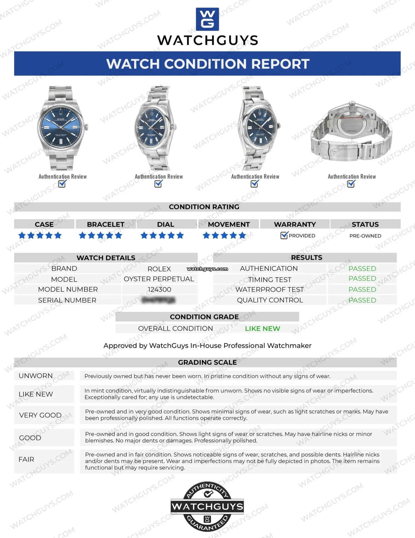 Rolex Oyster Perpetual 124300 Blue
